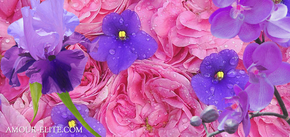 Альдегидные ароматы