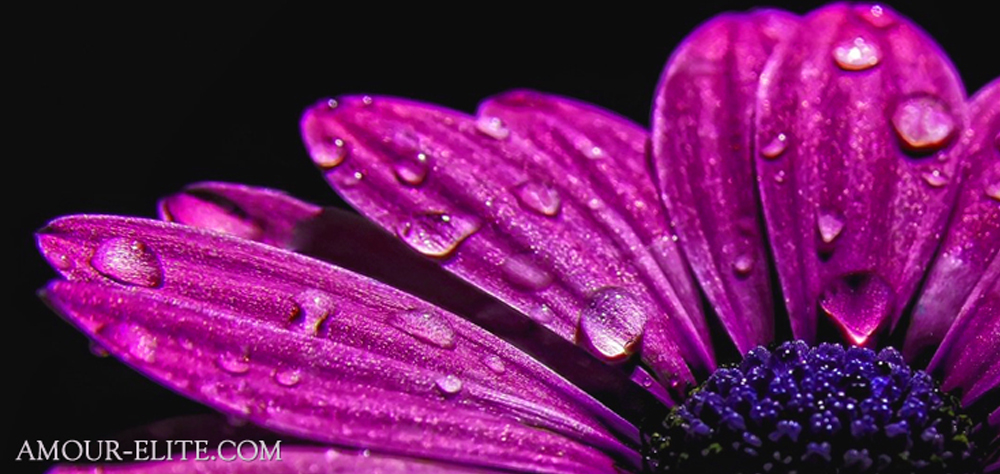 Шипровые ароматы