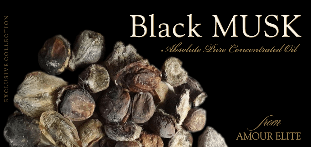 Духи Black Musk - Черный Мускус