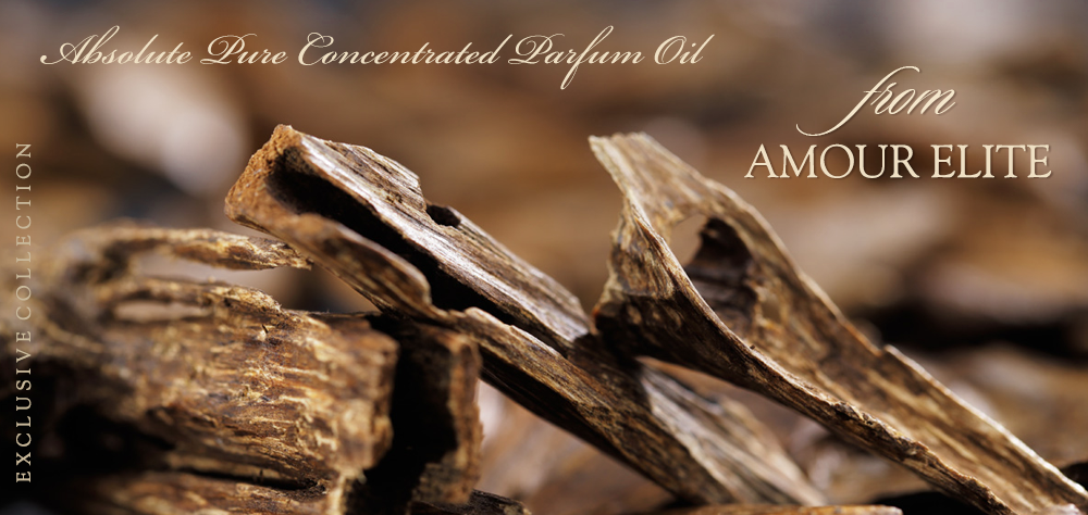 Древесные ароматы