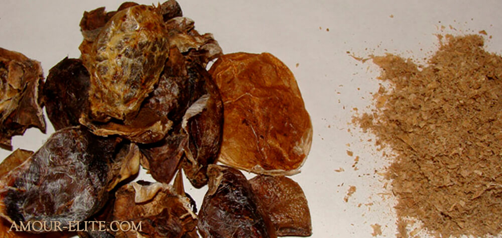 Мускусные ароматы