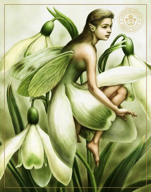 Ландыш - Символ Чистоты