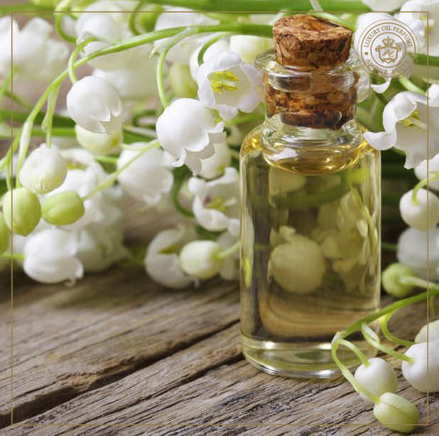 Ландыш - Символ Чистоты