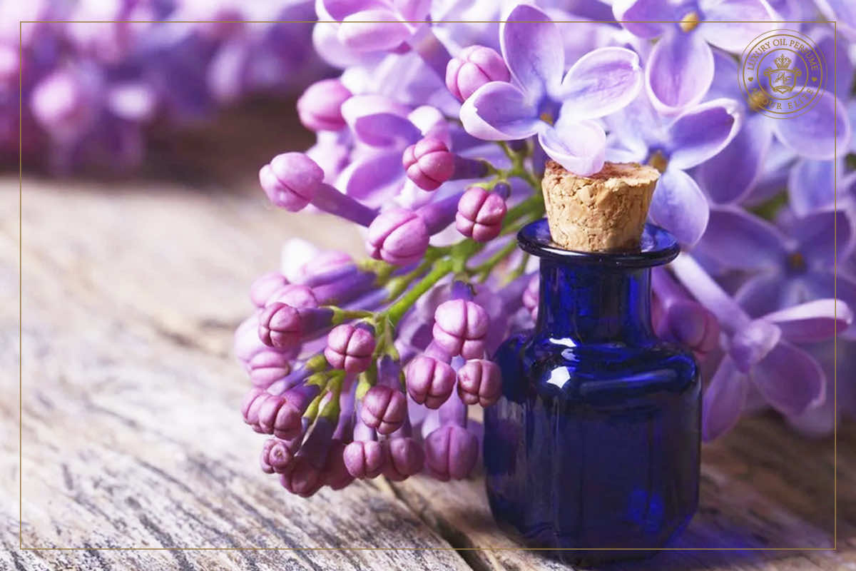 Цветущая Сирень - Аромат Очарования